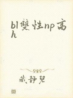 bl双性np高h封面