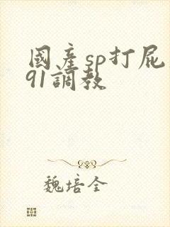 国产sp打屁股91调教