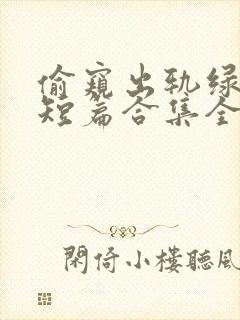 偷窥出轨绿帽癖短篇合集全文封面