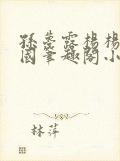 孙梦露杨杨峰正国笔趣阁小说封面