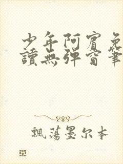 少年阿宾免费阅读无弹窗笔趣阁