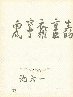 南宝衣重生后我成了权臣的掌中娇封面