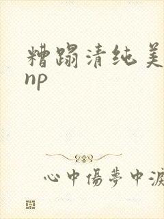 糟蹋清纯美人受np