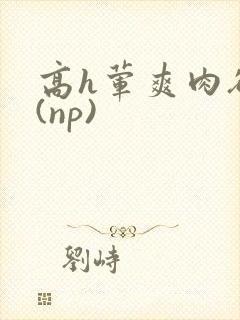 高h荤爽肉欲文(np)