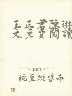 王正君陈琳洁全文免费阅读最新章节小说