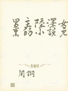 男主陆泽女主乔熏的小说免费阅读封面