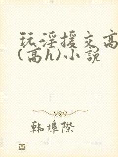 玩淫援交高中生(高h)小说封面