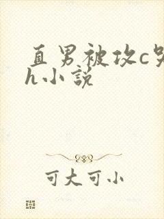 直男被攻c哭高h小说