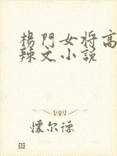 杨门女将高h文辣文小说