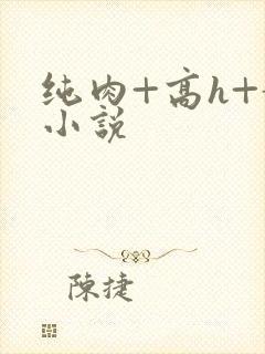 纯肉+高h+黄小说
