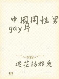 中国同性男男黄gay片封面