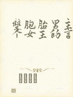 双胞胎男主和一个女主的言情小说