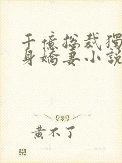 千亿总裁独宠替身娇妻小说txt下载封面