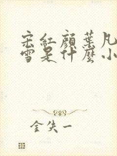 宋红颜叶凡唐若雪是什么小说封面