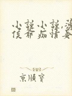 小说小说,薄情侯爷痴情妾