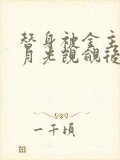 替身被金主的白月光觊觎后