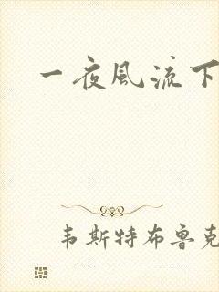 一夜风流下载