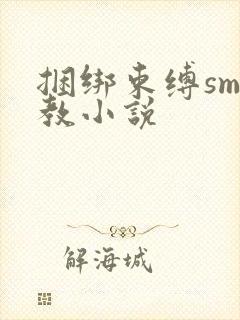 捆绑束缚sm调教小说