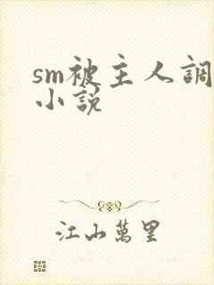sm被主人调教小说