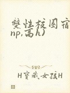 双性校园宿舍(np,高h)