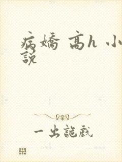病娇 高h 小说