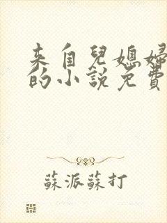 来自儿媳妇的爱的小说免费阅读