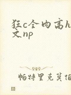 狂c全肉高h辣文np