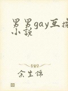 男男gay互操小说