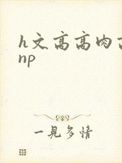 h文高高肉高辣np