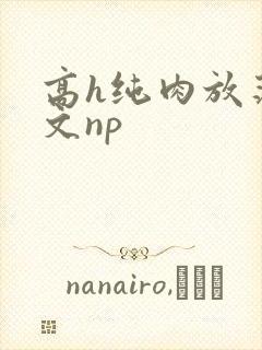 高h纯肉放荡h文np