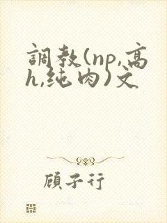 调教(np,高h,纯肉)文
