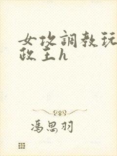 女攻调教玩弄摄政王h封面