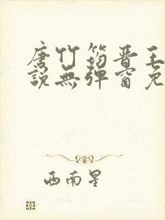 唐竹筠晋王的小说无弹窗免费阅读封面