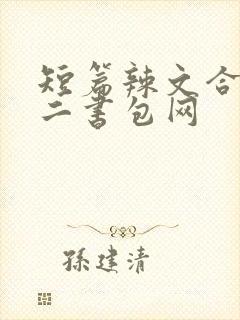 短篇辣文合集第二书包网
