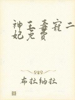 神王毒宠二嫁王妃免费