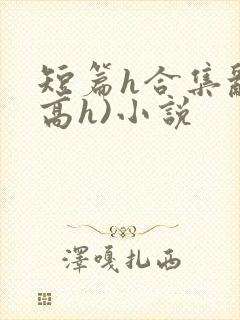 短篇h合集乱(高h)小说