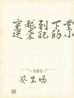 穿越到下堂王妃逆袭记的小说