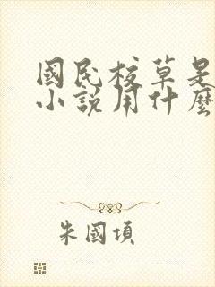 国民校草是女生小说用什么app可以免费