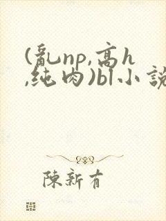 (乱np,高h,纯肉)bl小说封面