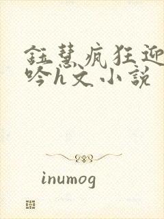 钰慧疯狂迎合呻吟h文小说