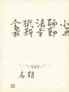 全职法师小说 最新章节 无弹窗