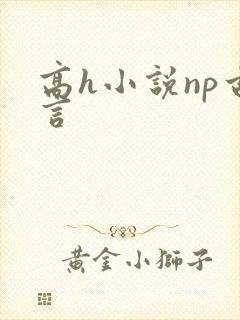 高h小说np古言