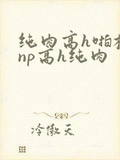 纯肉高h啪校园np高h纯肉