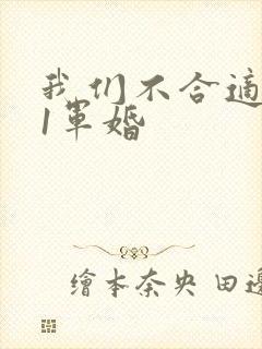 我们不合适1v1军婚