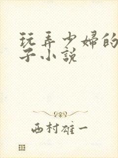 玩弄少妇的大奶子小说