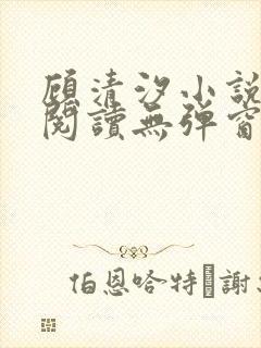 顾清汐小说免费阅读无弹窗