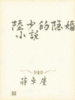 陆少的隐婚罪妻 小说封面