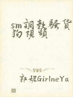sm调教骚货母狗视频