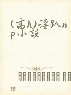 (高h)淫趴np小说