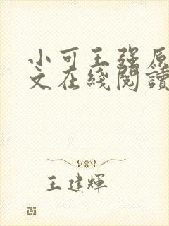 小可王强原文全文在线阅读